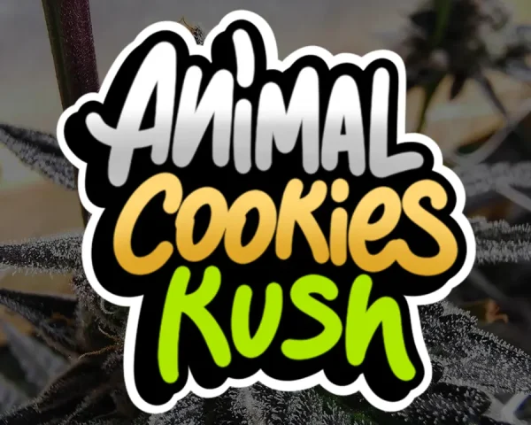 Animal Cookies Kush - Capa