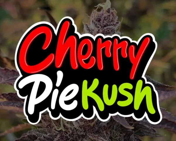 Cherry Pie Kush - Capa