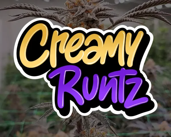 Creamy Runtz - Capa