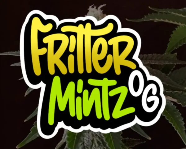 FritterMintz Og - Capa