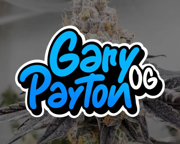 Gary Payton Og - Capa