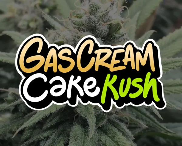 GasCreamCake Kush - Capa