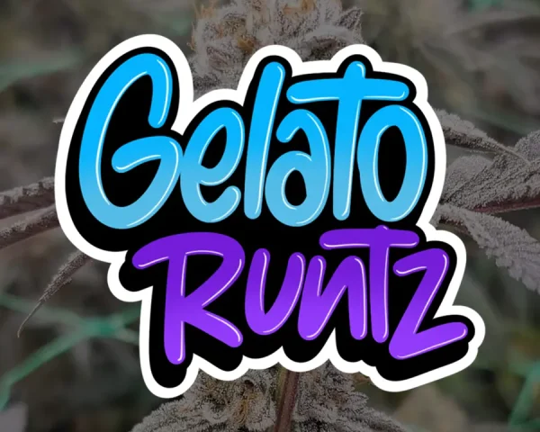 Gelato Runtz - Capa