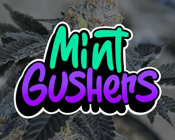 Mint Gushers - Capa