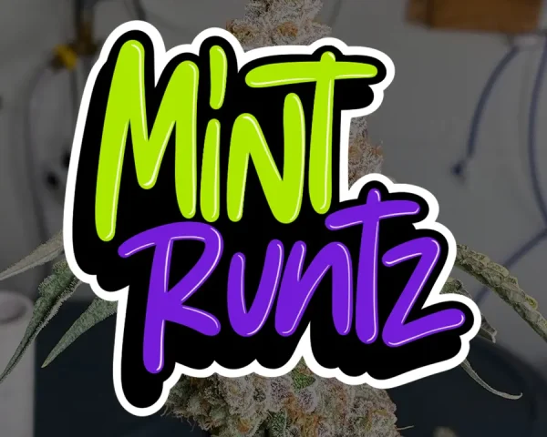 Mint Runtz - Capa