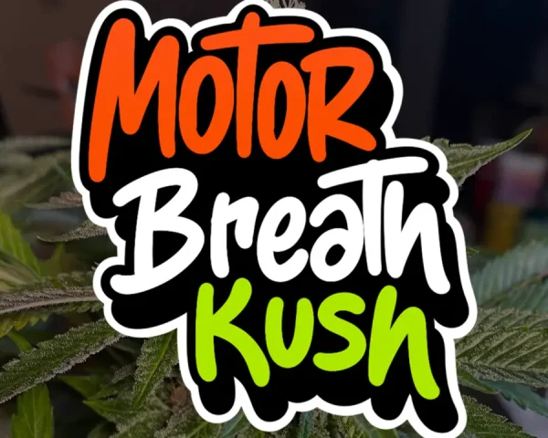 Motor Breath Kush - Capa