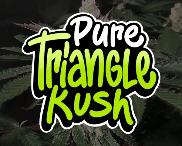 Pure Triangle Kush - Capa