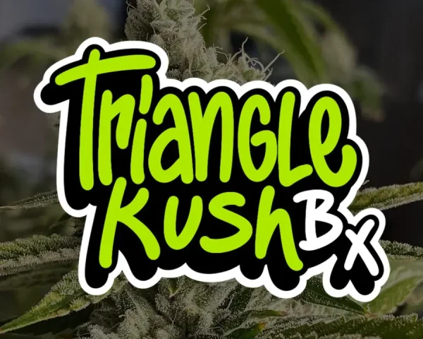 Triangle Kush Bx - Capa