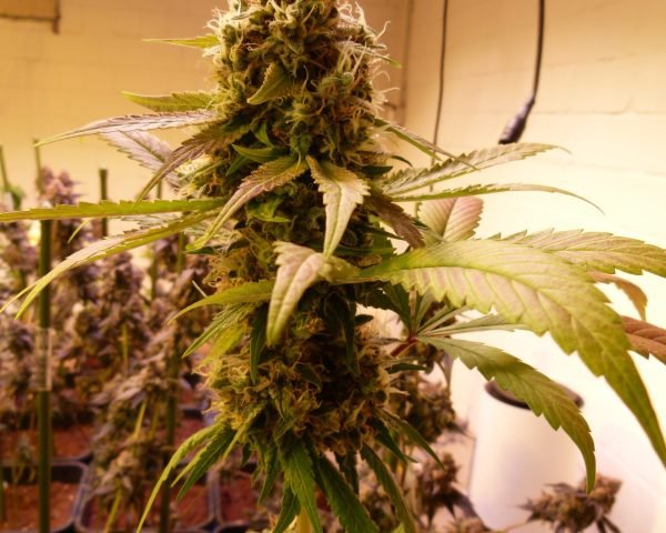 Wheres_my_bike_V2-1-scaled